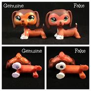 Image result for LPs Phone Print Out