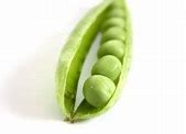 Image result for Actual Size Pea