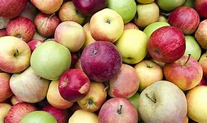 Image result for Rnglish Apple's