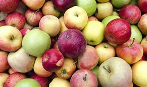 Image result for British Apple Varieties