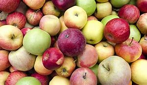 Image result for Abeinz Apple