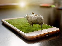 Image result for Sheep On Phone