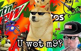Image result for MLG Dog Meme
