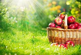 Image result for Fall Apples Screensavers