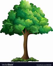 Image result for Tree Cartoon Royalty Free