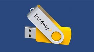 Image result for Flash Drives with Logo