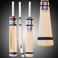 Image result for Cricket Bat and Nike Ball