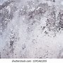Image result for Mold Up Close