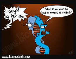 Image result for Biology Meme DNA