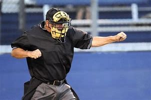 Image result for Funny Umpire