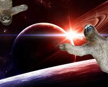 Image result for Space Sloth Wallpaper HD