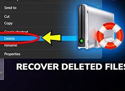 Image result for How Do You Recover Deleted Files Windows 1.0