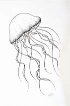 Image result for Jellyfish Drawing Black and White