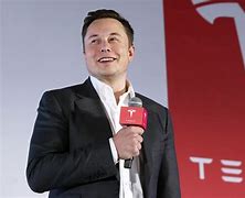 Image result for Elon Musk as a Tesla