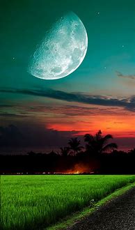 Image result for iPhone XR Green Moon Wallpaper