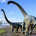 Image result for Tallest Dinosaur