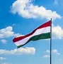 Image result for Official Hungary Flag