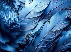 Image result for Original Blue Feathers iPhone 6 Wallpaper