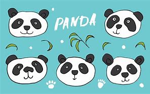 Image result for Panda Bear Drawing