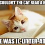 Image result for cats pun meme