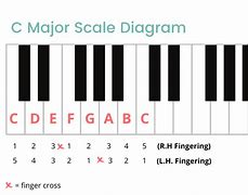 Image result for What Is a C Scale