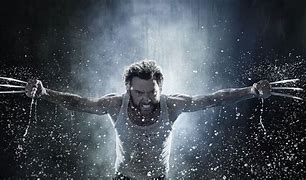 Image result for Wolverine PC Wallpaper