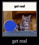 Image result for Get Real Meme GIF