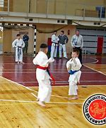 Image result for Children Shotokan Karate