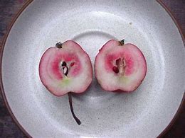 Image result for Red Flesh Apple Varieties