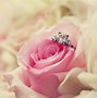 Image result for Wedding Background HD Quality
