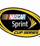 Image result for What Is a NASCAR Race