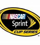 Image result for NASCAR Race Track Graphics