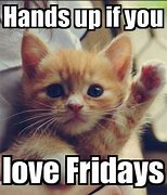 Image result for Happy Friday Cute Meme