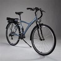 Image result for Electric Bike 900-Pound