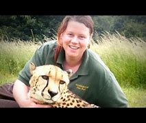 Image result for Zookeeper Mauled by Tiger