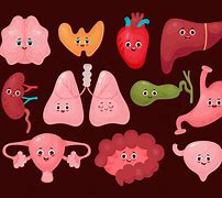 Image result for Health Body Cartoon Picture