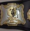 Image result for Wrestling Championship Belts