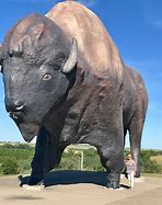 Image result for Biggest Buffalo in the World