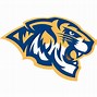 Image result for Tiger Sports Logo