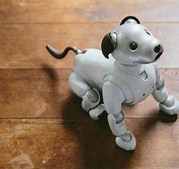 Image result for Sony Aibo Robot Dog Baby