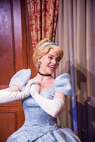 Image result for Disney World Princess Cinderella