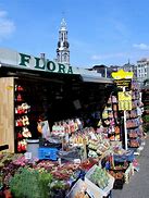 Image result for Netherlands Flower Market