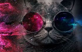 Image result for Galaxy Cat Wallpaper for Laptop