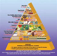 Image result for Food Pyramid Information