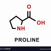 Image result for Proline