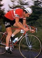 Image result for Sean Kelly Cycliste