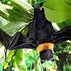Image result for Realistic Rubber Bat Prop