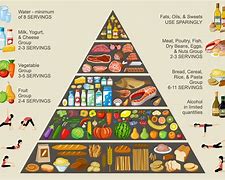 Image result for Diet Pyramid