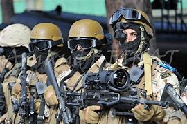Image result for Saudi Arabia Special Forces