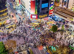 Image result for Shibuya Crossing Night Photo Shoot